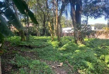 Lote de Terreno en  Jardines De Coatepec, Coatepec, Veracruz