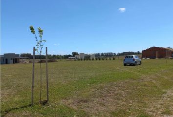 Terrenos en  Tandil, Partido De Tandil