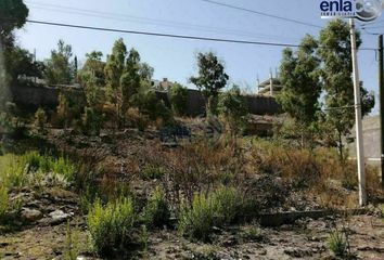 Lote de Terreno en  Los Remedios, Durango