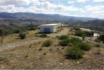 Terreno en  Abla, Almería Provincia