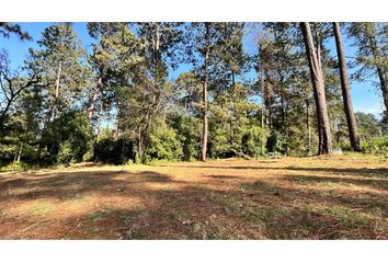 Lote de Terreno en  Avándaro, Valle De Bravo