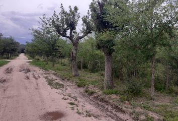 Terrenos en  Nono, Córdoba