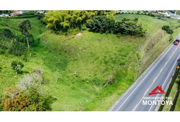 Lote de Terreno en  Centro, Pereira