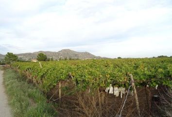 Terreno en  Aspe, Alicante Provincia