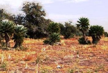 Terrenos en  Cortaderas, San Luis