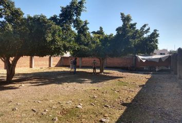 Lote de Terreno en  General Emiliano Zapata, Morelos