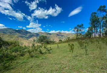 Bodega-Galpon en  Vilcabamba (victoria), Loja