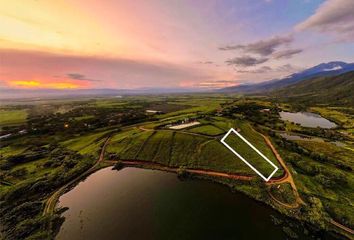 Lote de Terreno en  Calle 6 9 50, El Cerrito, Valle Del Cauca, Col