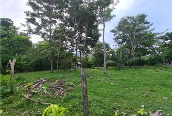 Lote de Terreno en  Acandí, Chocó
