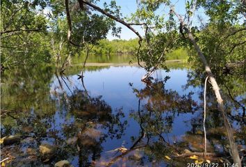 Lote de Terreno en  Hacienda El Cuyo, Tizimín