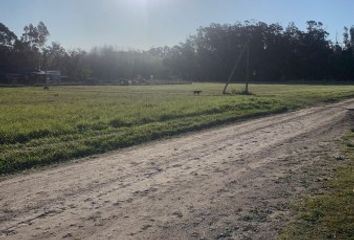 Terrenos en  Sierra De Los Padres, General Pueyrredón