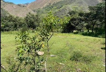 Terreno Comercial en  Malacatus 95, Ecuador