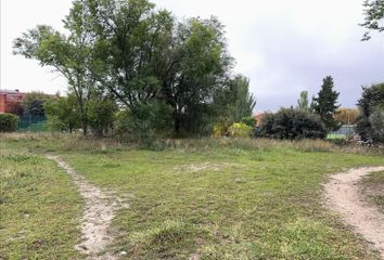 Terreno en  Las Rozas De Madrid, Madrid Provincia