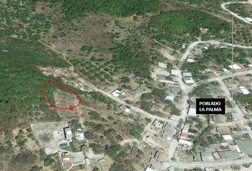 Lote de Terreno en  San Blas, Nayarit