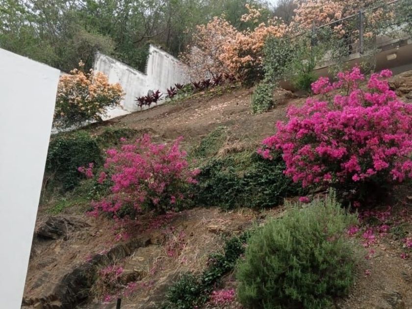 renta Casa en San Francisco, Santiago, Santiago, Nuevo León (EBMJ3677r