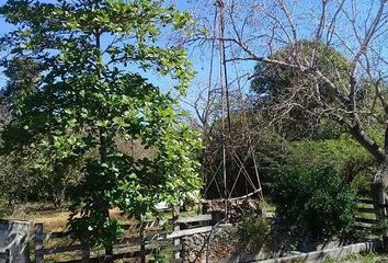 Casa en  Chemax, Yucatán
