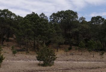 Lote de Terreno en  Ejidal, Arteaga, Arteaga, Coahuila