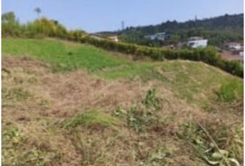 Lote de Terreno en  Palestina, Caldas