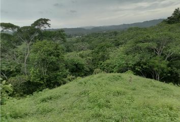 Lotes y Terrenos en  Altos Del Bayano, Chepo