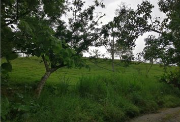 Lote de Terreno en  El Rosario, Manizales