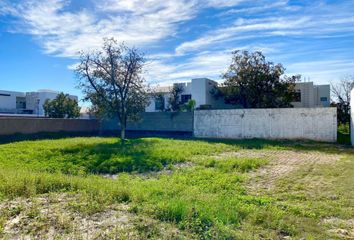 Lote de Terreno en  Las Trojes, Torreón