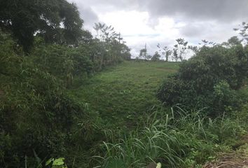 Terreno Comercial en  Av. Esmeraldas 113, Santo Domingo, Ecuador