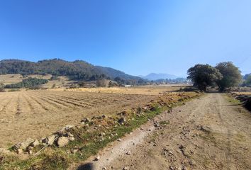 Lote de Terreno en  Tianguistenco, Estado De México