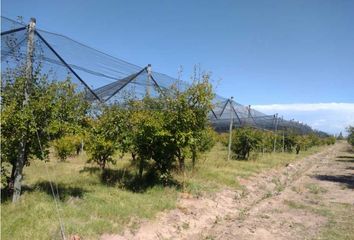 Quinta/Finca en  San Rafael, Mendoza