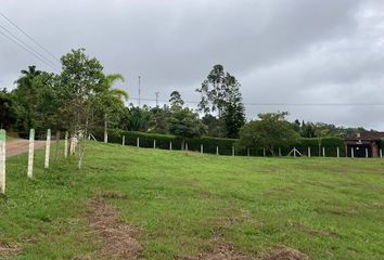 Lote de Terreno en  Carrera 5 8 69, El Carmen, Dagua, Valle Del Cauca, Col