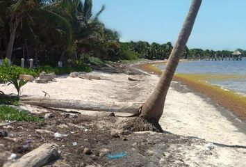 Lote de Terreno en  Mahahual, Othón P. Blanco