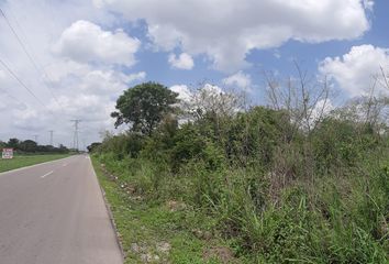 Lote de Terreno en  Santa Gertrudis Copo, Mérida, Yucatán