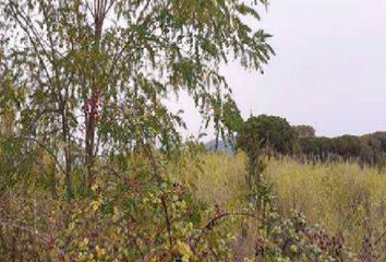 Terreno en  Vallromanes, Barcelona Provincia