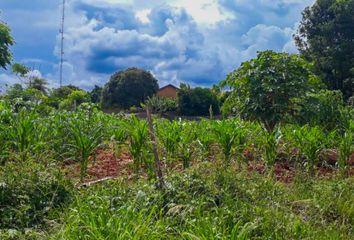 Terrenos en  Campo Ramón, Misiones