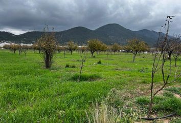 Lote de Terreno en  Arteaga, Arteaga, Arteaga, Coahuila