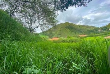 Terreno Comercial en  Vilcabamba (victoria), Loja