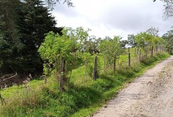 Villa-Quinta en  Calle 5 6-99-6-1, Sesquilé, Cundinamarca, Col