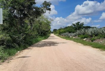 Lote de Terreno en  Pueblo Tixkuncheil, Baca, Yucatán