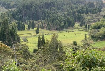 Lote de Terreno en  051468, Liborina, Antioquia, Col