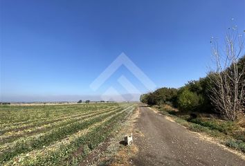 Parcela en  Colina, Chacabuco