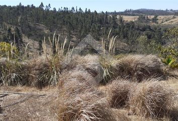 Parcela en  Algarrobo, San Antonio