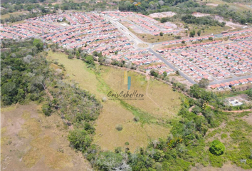 Lotes y Terrenos en  El Limón, La Chorrera