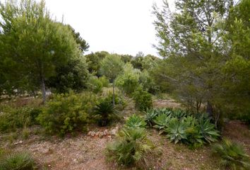 Terreno en  Dénia, Alicante Provincia