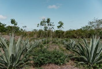 Lote de Terreno en  Kantunil, Yucatán