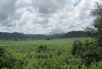 Lote de Terreno en  San Ciro De Acosta, Estado San Luis Potosí