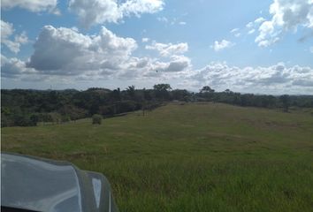 Lotes y Terrenos en  La Herradura, La Chorrera