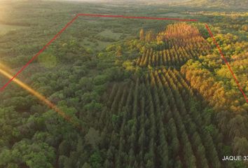 Terrenos en  Cerro Azul, Misiones