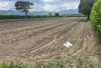 Lote de Terreno en  Rozo, Palmira, Valle Del Cauca, Col