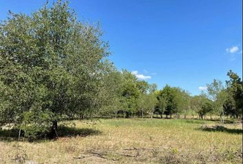 Lote de Terreno en  Ciudad Ciudad Allende, Allende, Nuevo León