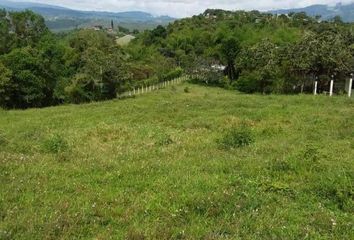 Lote de Terreno en  Carrera 23c 13b-2-13b-100, Junin, Cali, Valle Del Cauca, Col