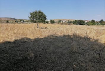 Terreno en  Ciudad Rodrigo, Salamanca Provincia